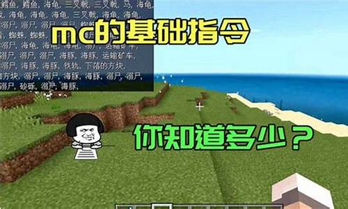 mc我的世界指令大全手机版_mc我的世界